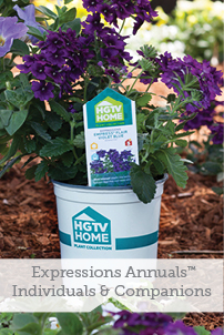 Expressions Annuals Individuals & Companions
