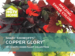 HGTVHPC-website-ads-2015-AnnualsFshade