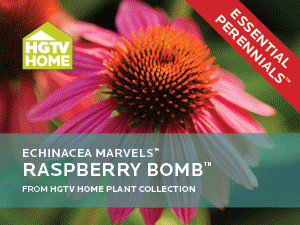 HGTVHPC-website-ads-2015-PerennialsF
