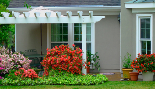 HGTV HOME Plants Amazing Azaleas